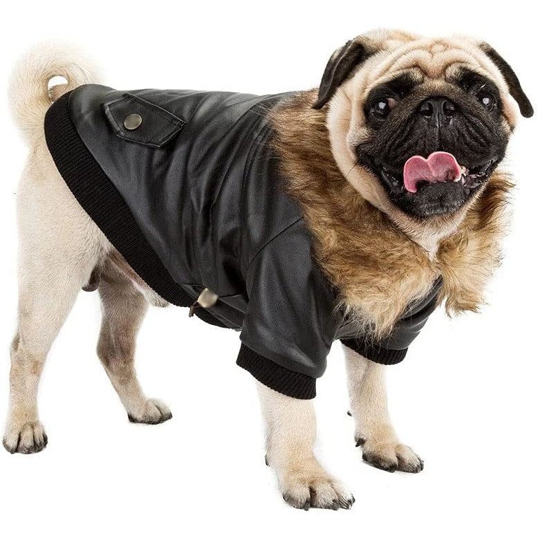 Manteau Chien Col Fourrure