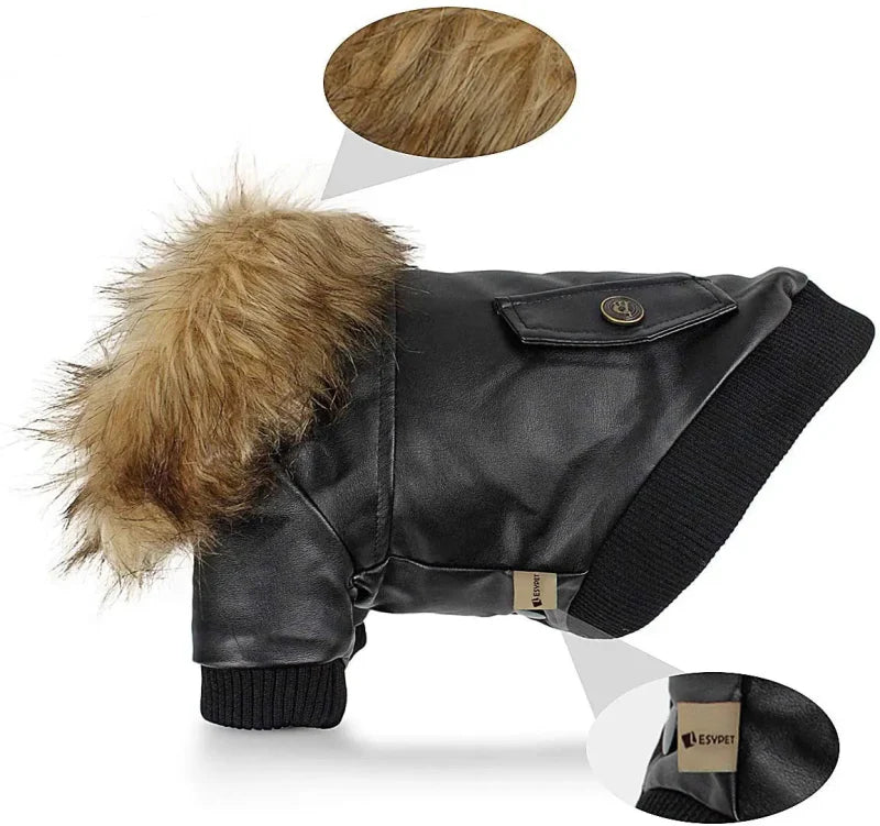 Manteau Chien Col Fourrure