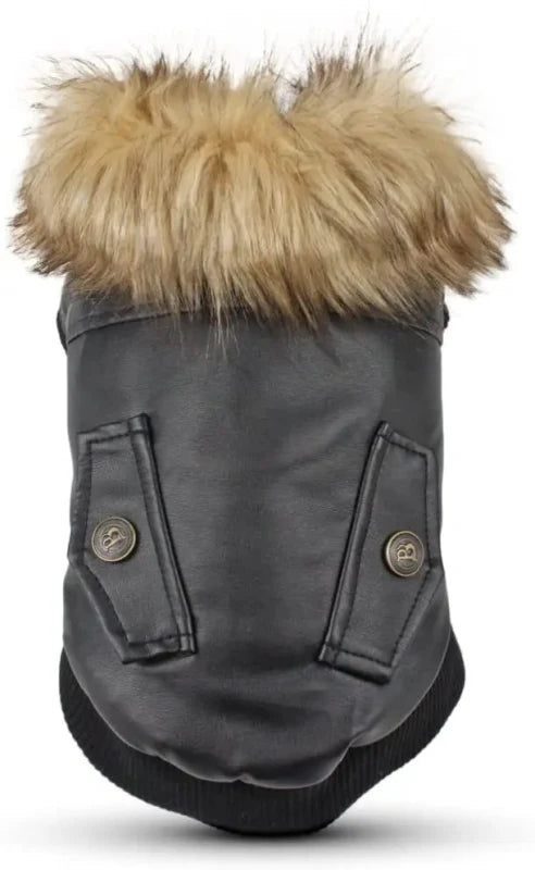 Manteau Chien Col Fourrure