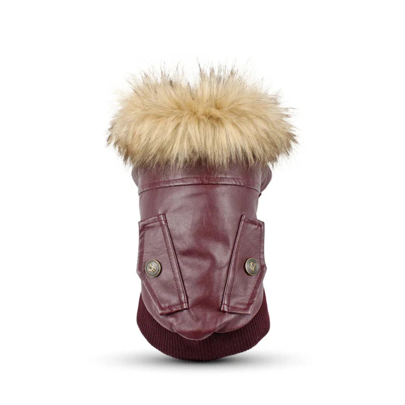 Manteau Chien Col Fourrure