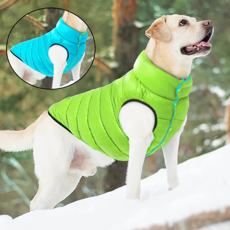 Manteau Chien Doudoune