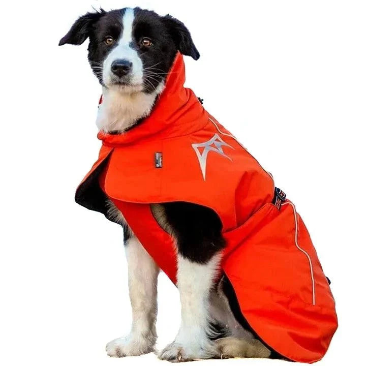 Manteau Chien Ouate Thinsulate