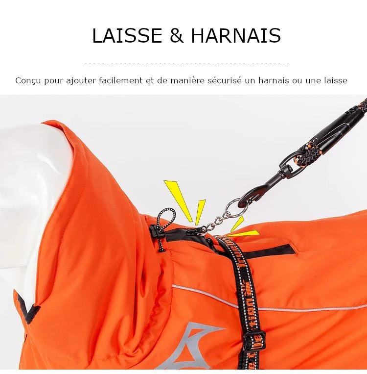 Manteau Chien Ouate Thinsulate