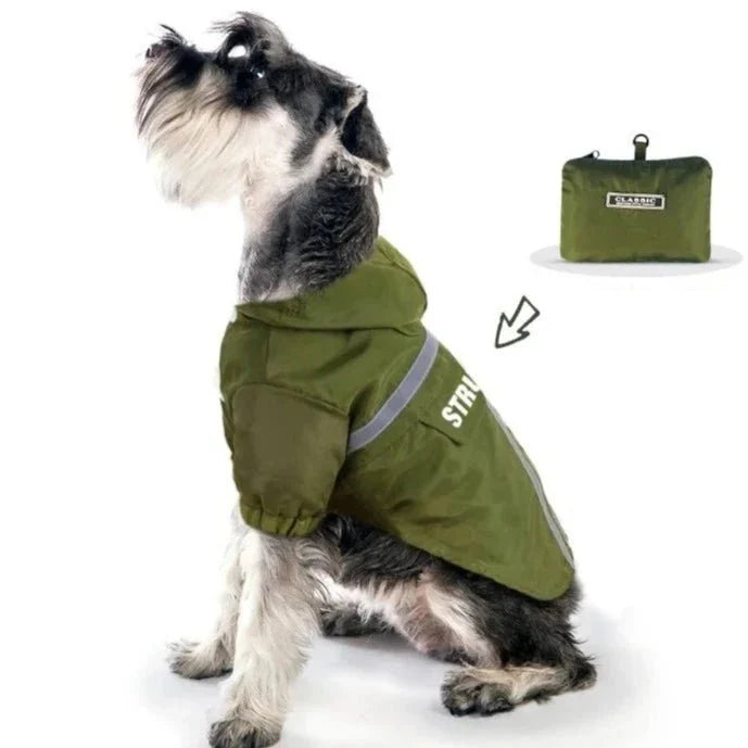 Manteau Chien Kaki