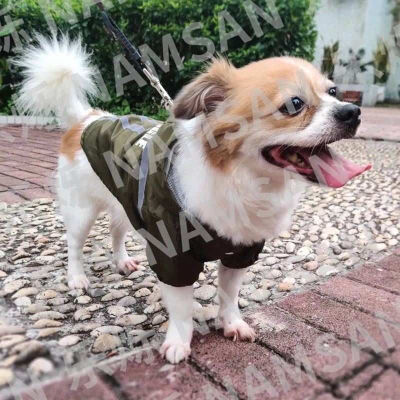 Manteau Chien Kaki