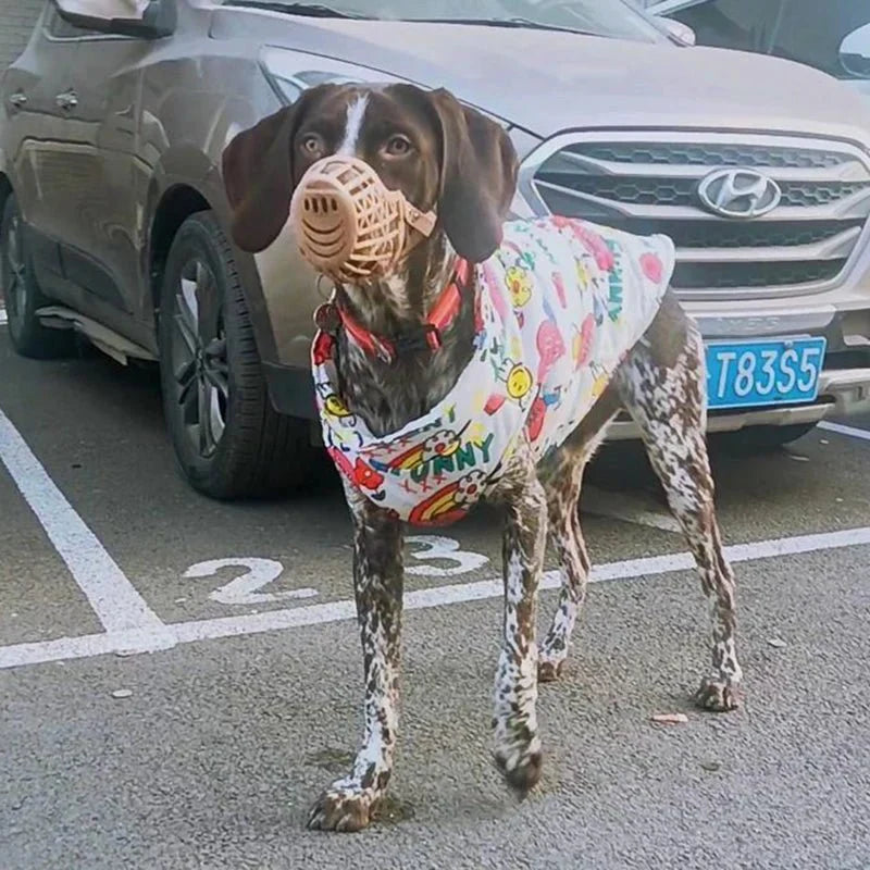 Manteau Chien Kawaii