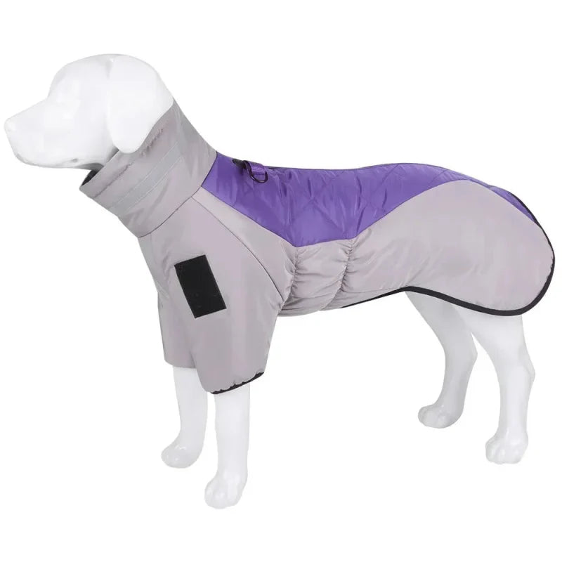 Manteau Chien Labrador / Grands chiens