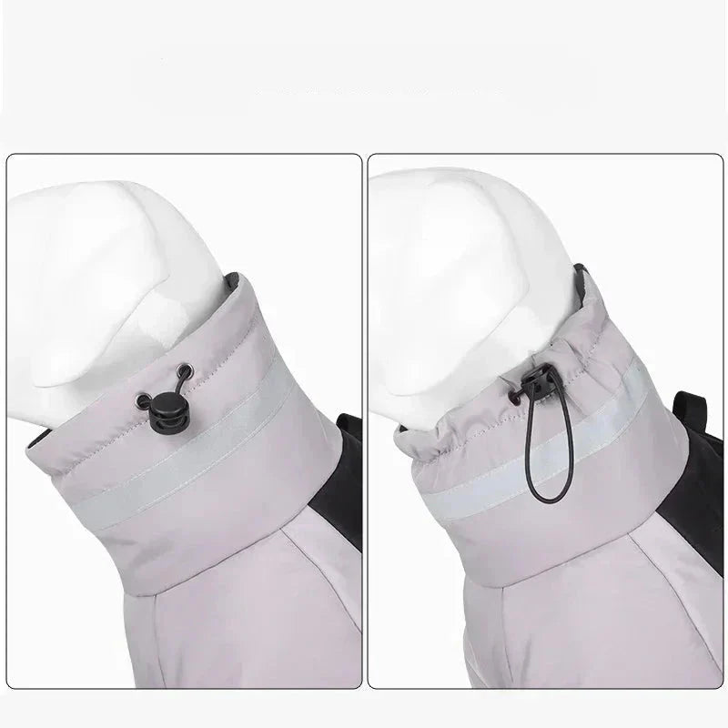 Manteau Chien Labrador / Grands chiens