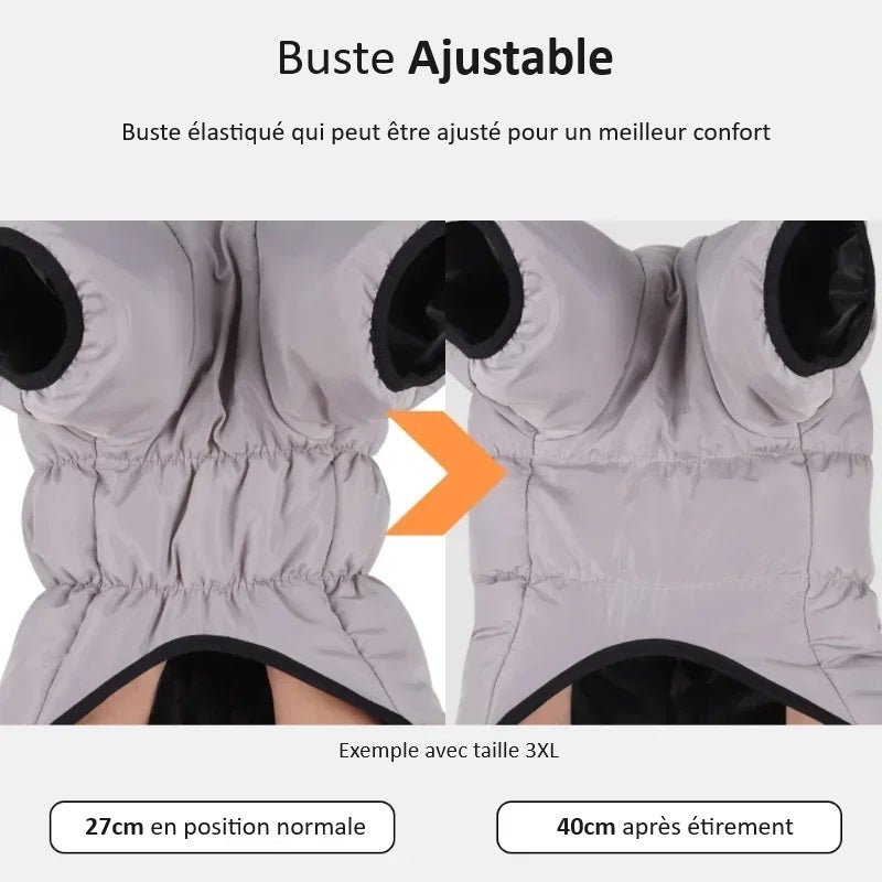 Manteau Chien Labrador / Grands chiens