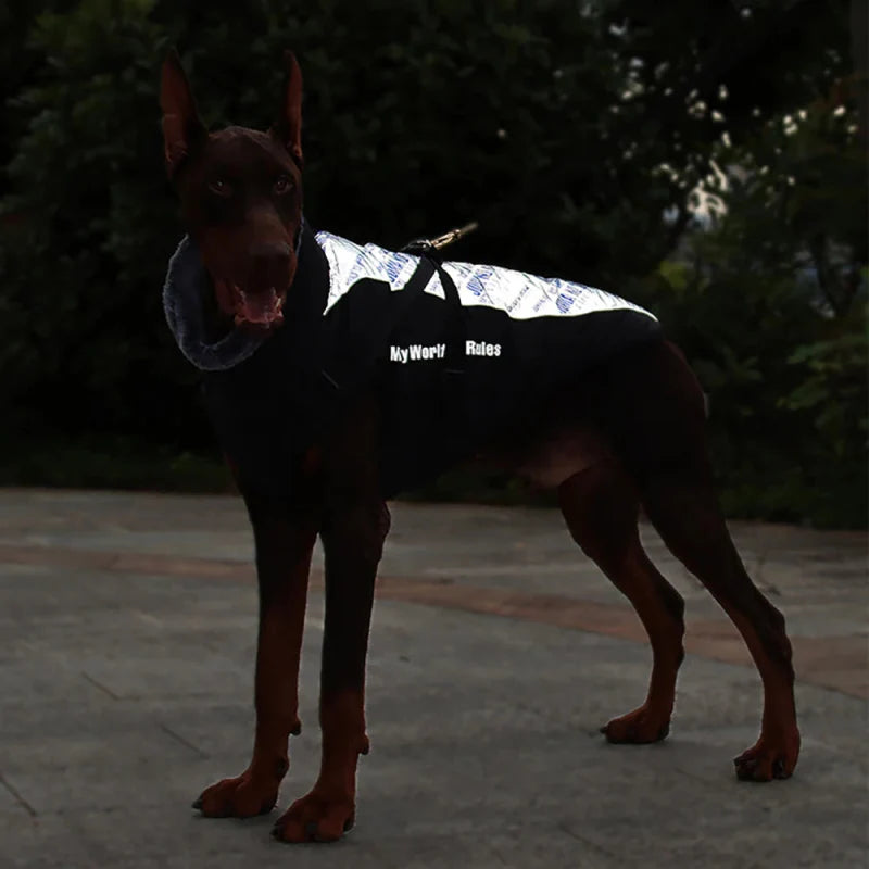 Manteau Chien My World My Rules