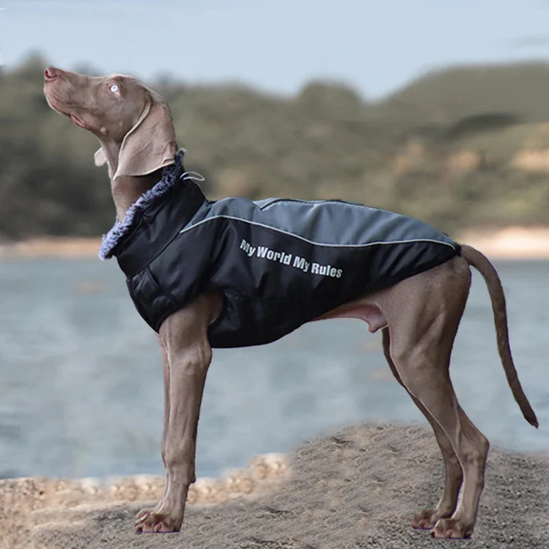 Manteau Chien My World My Rules