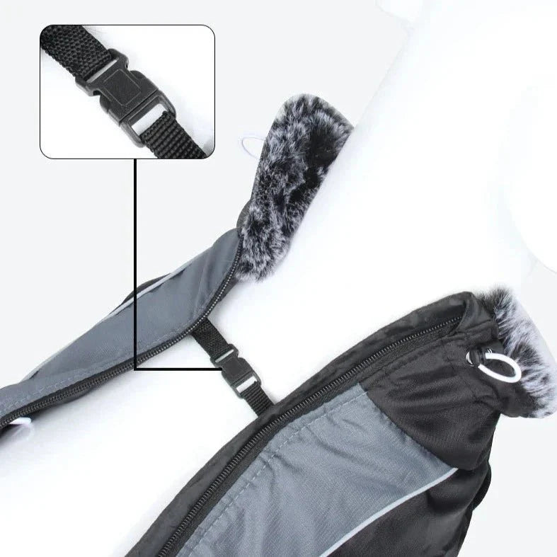 Manteau Chien My World My Rules