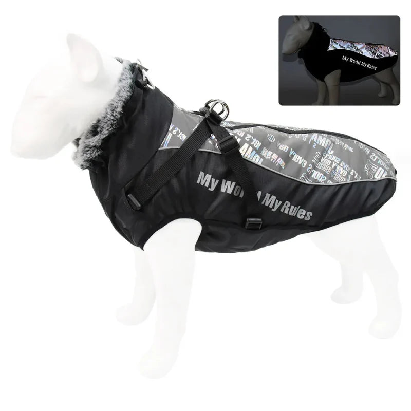 Manteau Chien My World My Rules