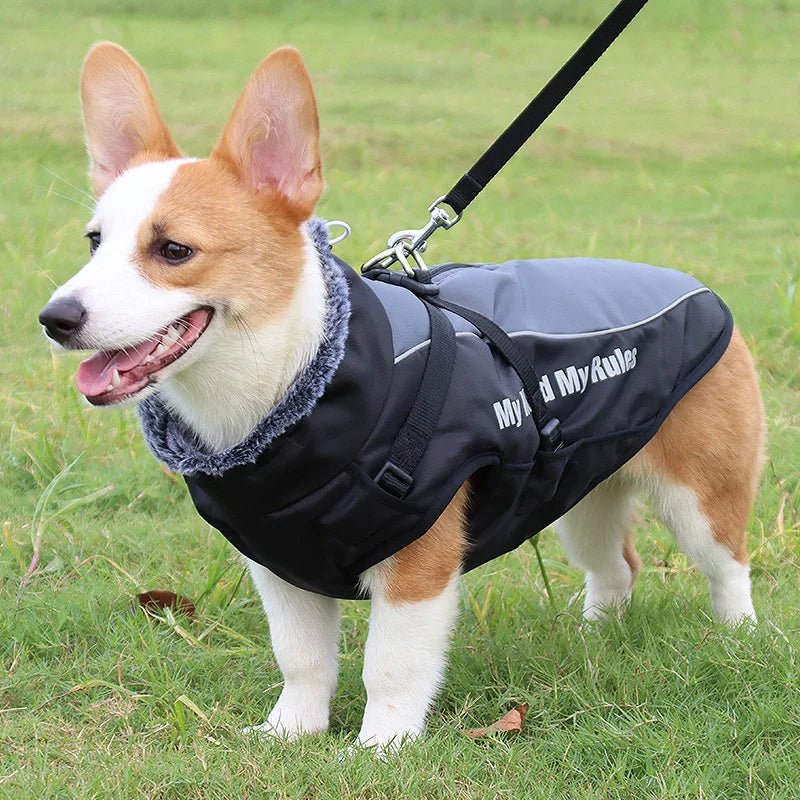 Manteau Chien My World My Rules