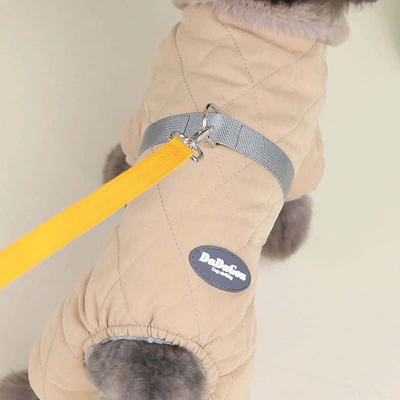 Manteau Chien Petite Taille