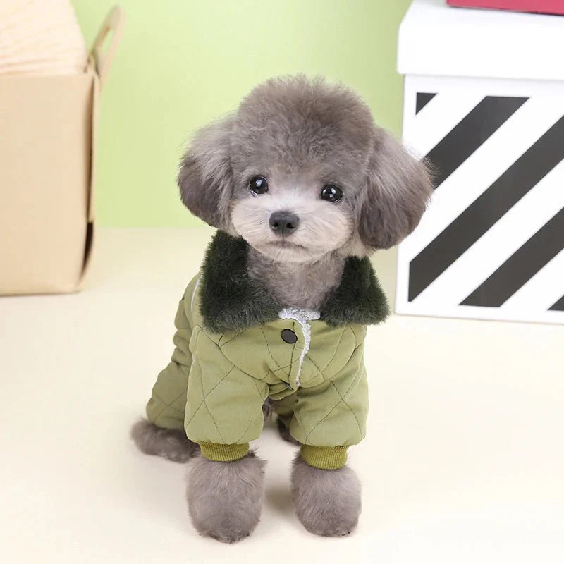 Manteau Chien Petite Taille