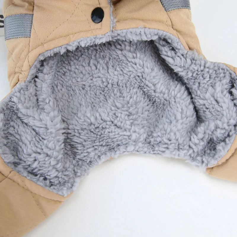 Manteau Chien Petite Taille