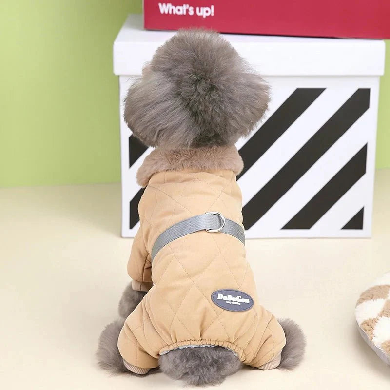 Manteau Chien Petite Taille