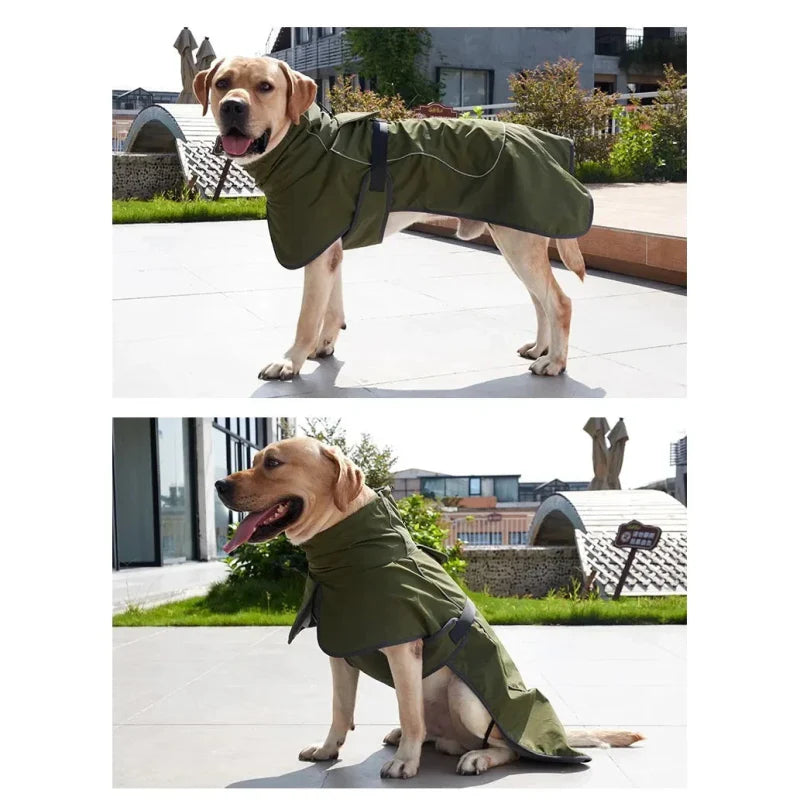 Manteau Chien style Equitheme