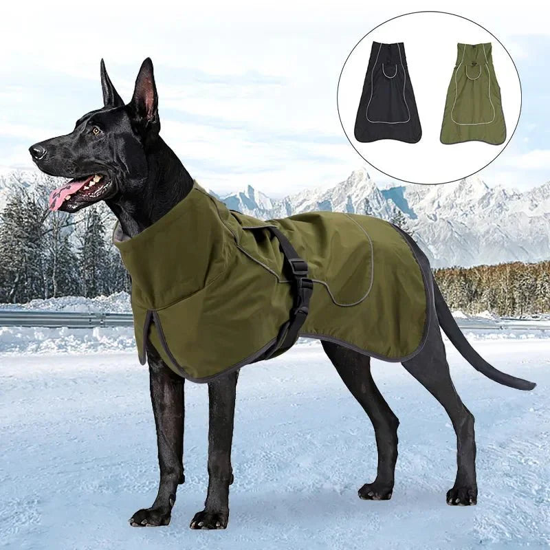 Manteau Chien style Equitheme