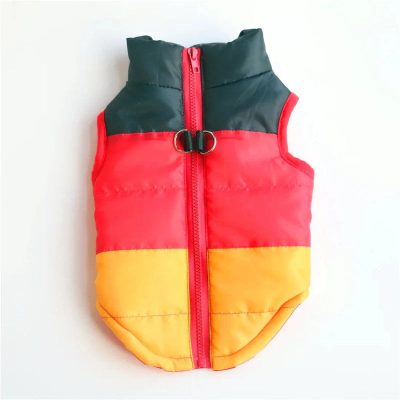 Manteau Chien Trois Couleurs