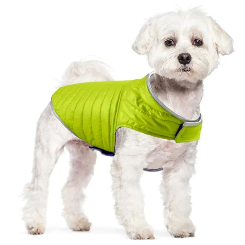 Manteau Chien Velcro