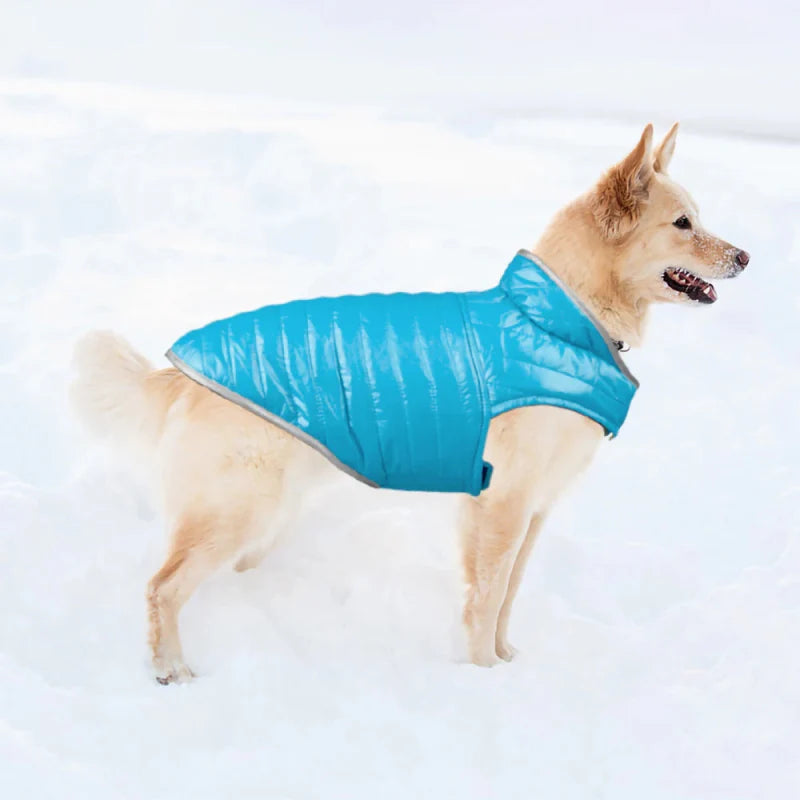 Manteau Chien Velcro