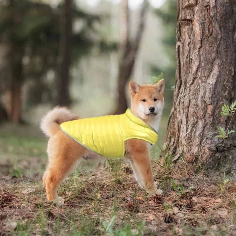 Manteau Chien Velcro