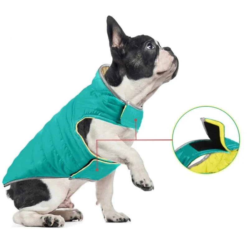 Manteau Chien Velcro