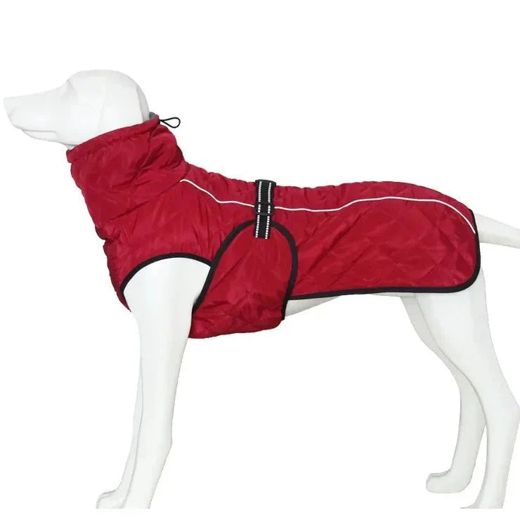 Manteau Chien XS-XL