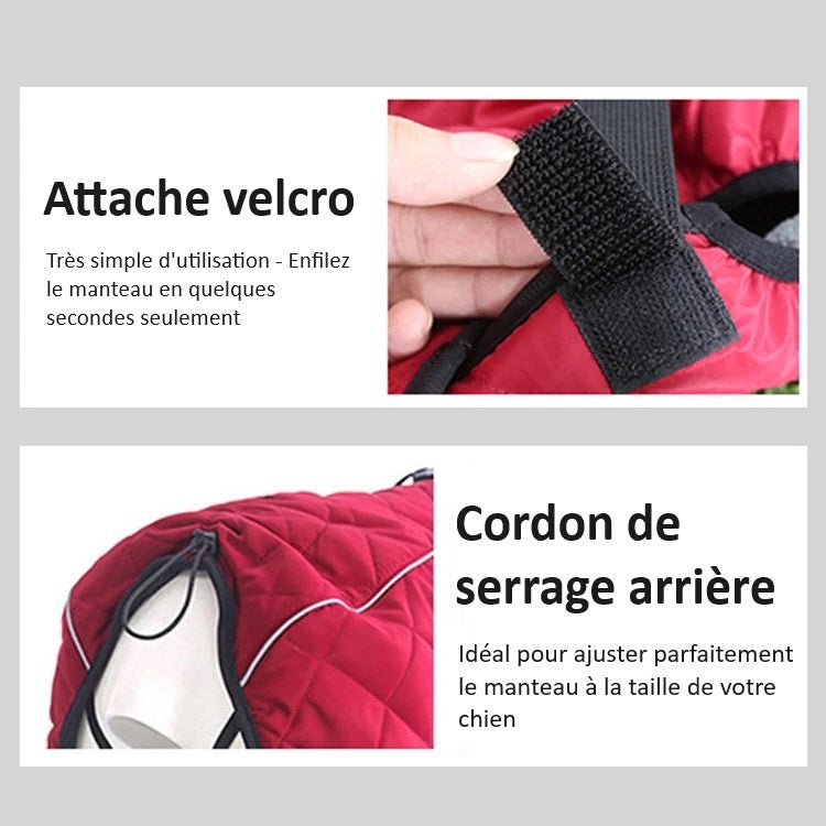 Manteau Chien XS-XL