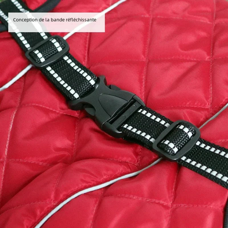 Manteau Chien XS-XL