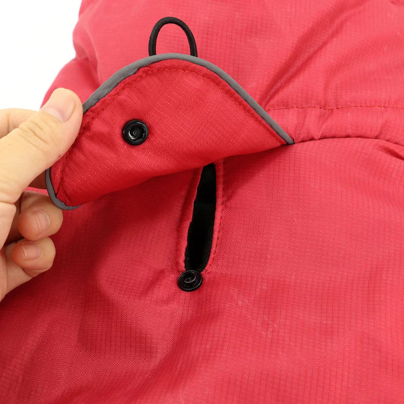 Manteau Chien XXL