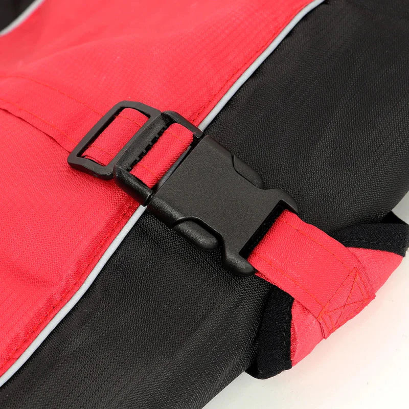 Manteau Chien XXL