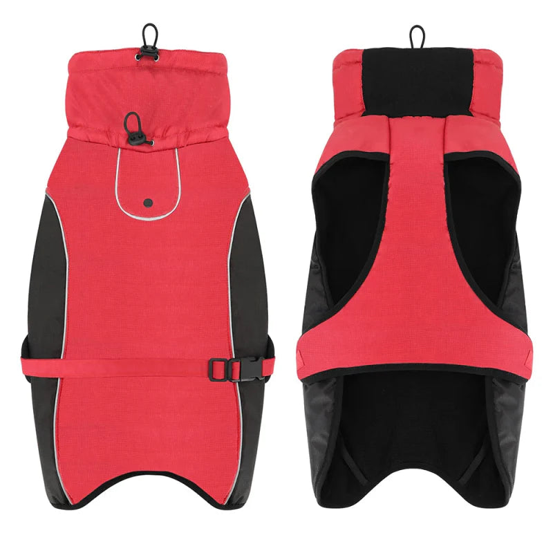 Manteau Chien XXL