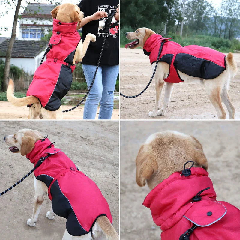 Manteau Chien XXL
