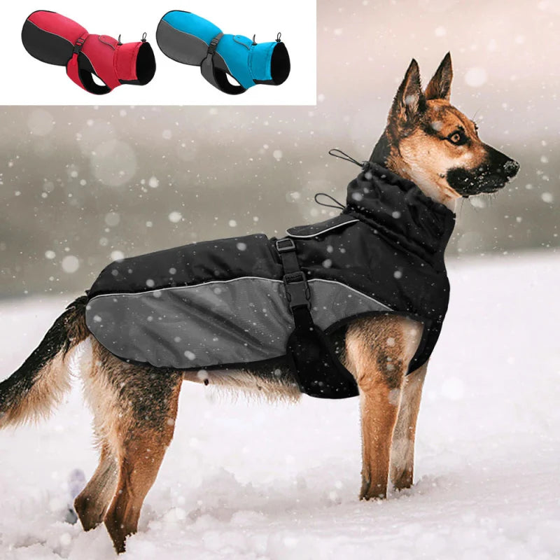 Manteau Chien XXL