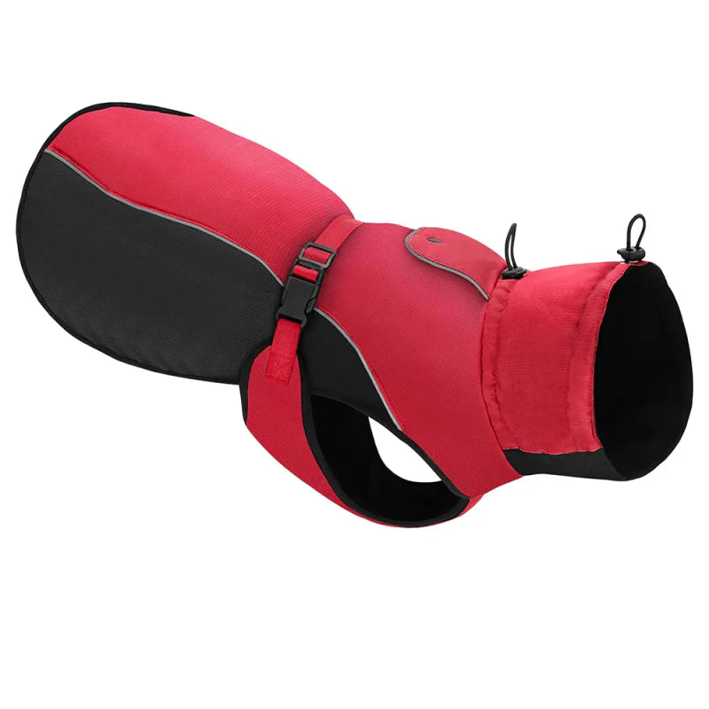Manteau Chien XXL
