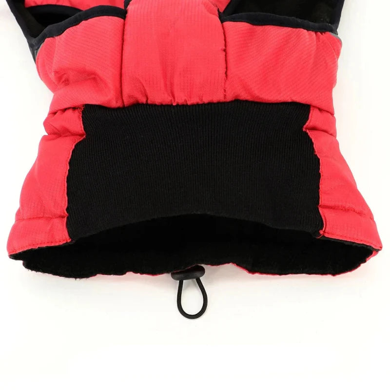 Manteau Chien XXL