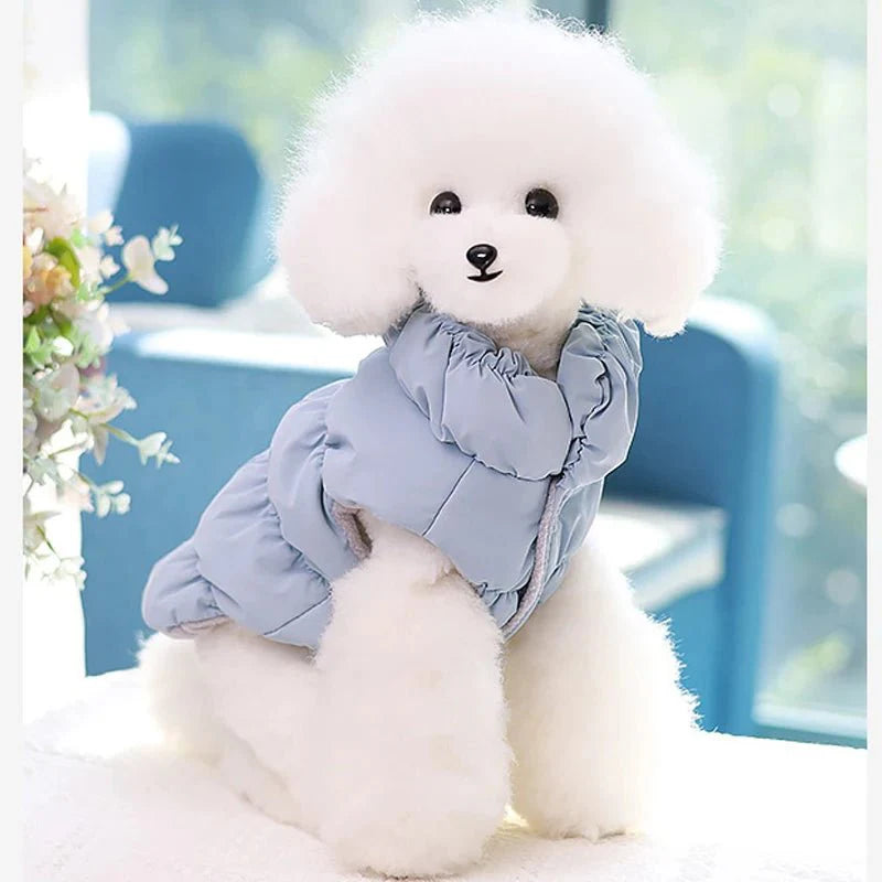 Manteau Chihuahua & petit chien