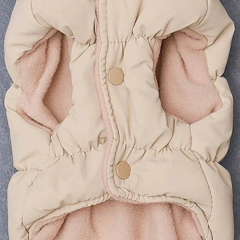 Manteau Chihuahua & petit chien