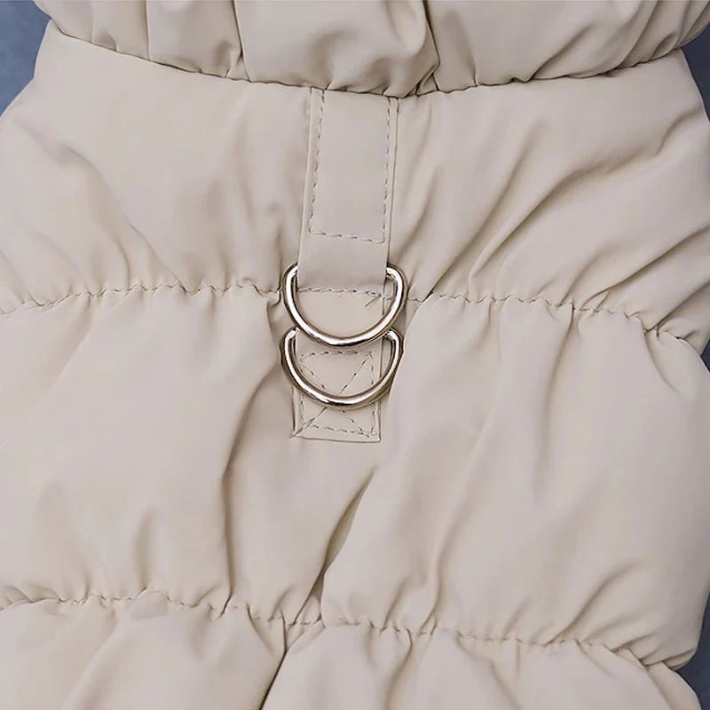 Manteau Chihuahua & petit chien