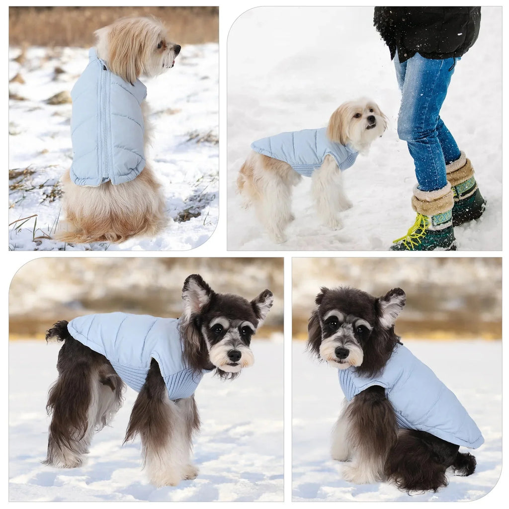 Veste hiver coupe-vent pour chien - Les Bonnes Affaires