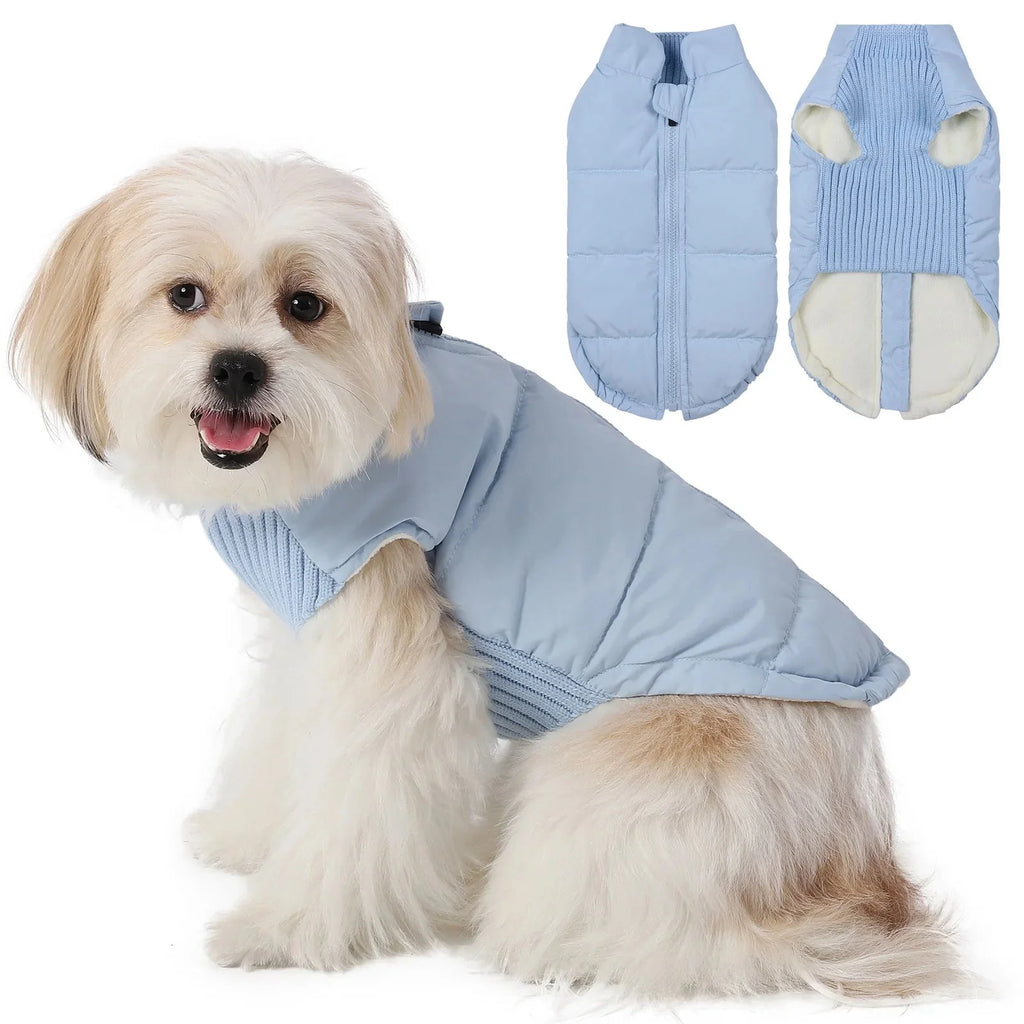 Veste hiver coupe-vent pour chien - Les Bonnes Affaires