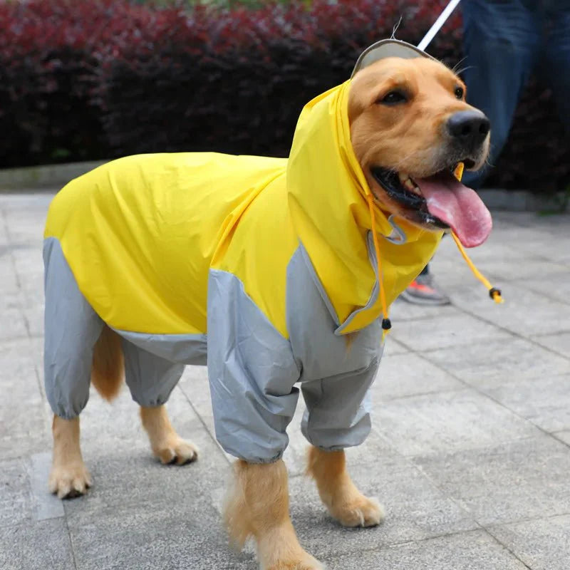 Manteau de Pluie pour Chien