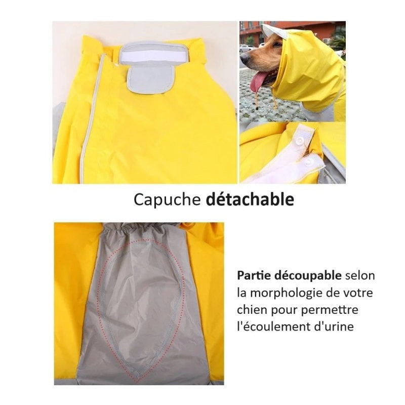 Manteau de Pluie pour Chien
