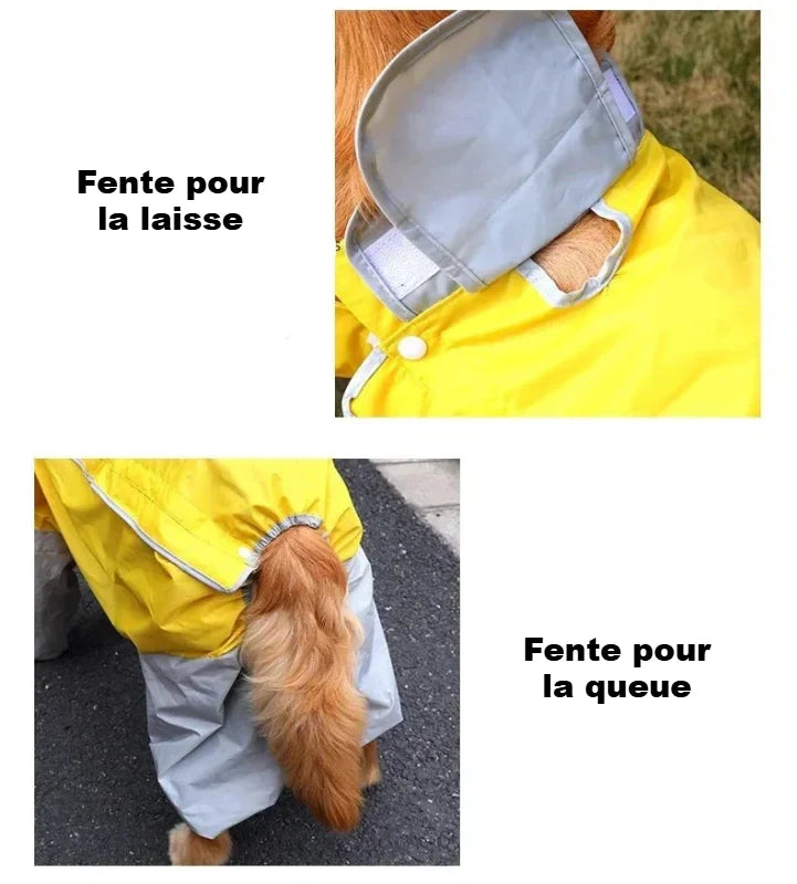Manteau de Pluie pour Chien