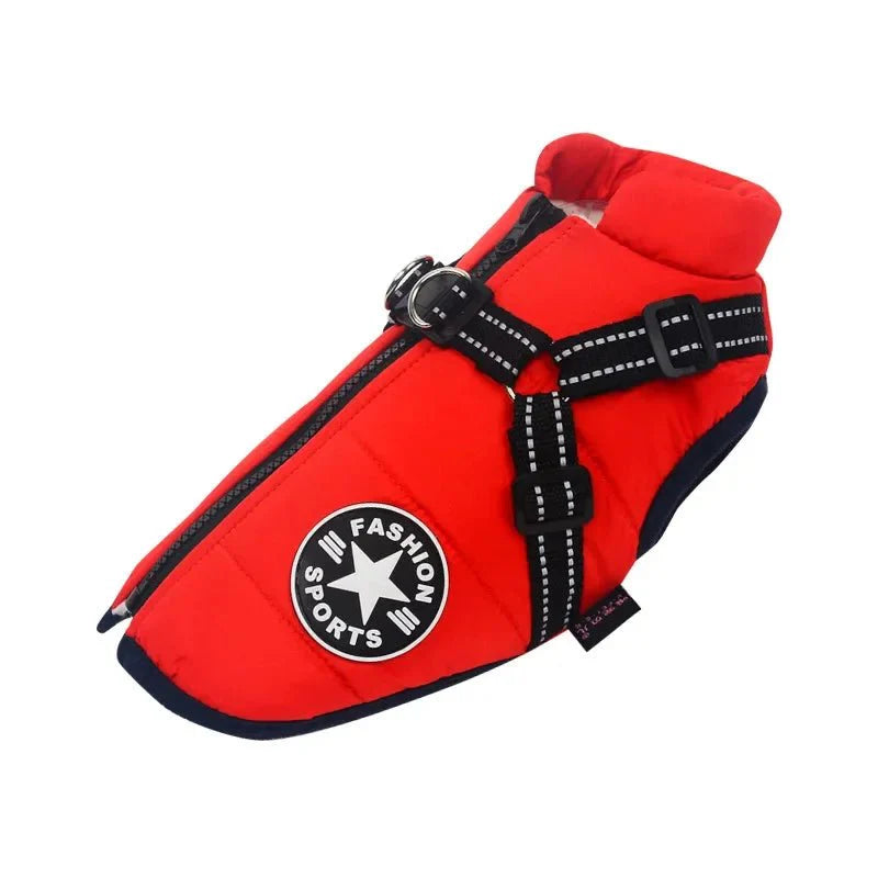 Manteau Fashion Sport Chien
