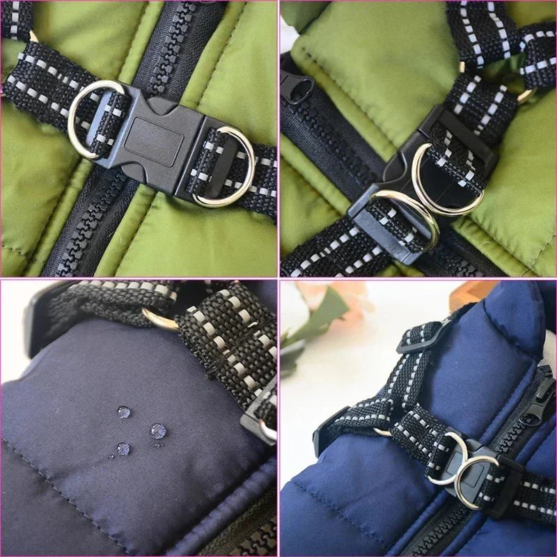Manteau Fashion Sport Chien