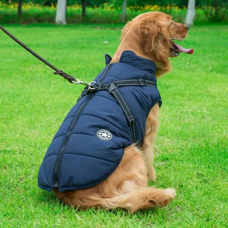 Manteau Fashion Sport Chien